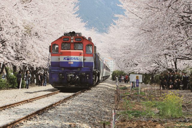 KORAIL OTrain & VTrain SEOUL Magazine
