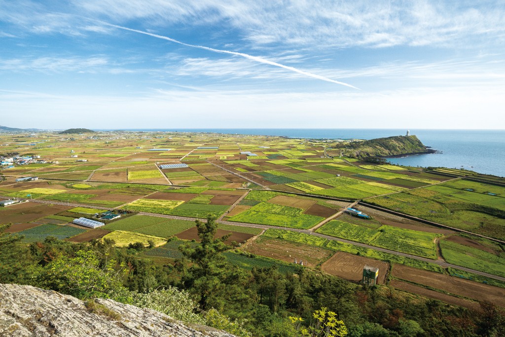 View of farm fields from Dangsanbong Al Oreum